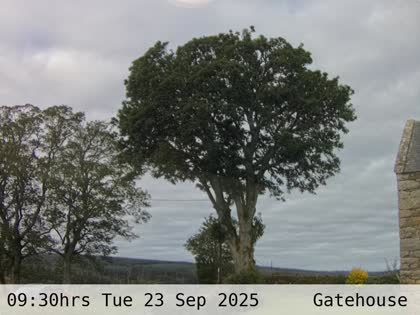 2025-09-23