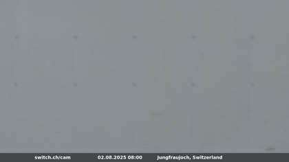 2025-08-02