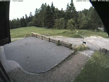 2025-06-15