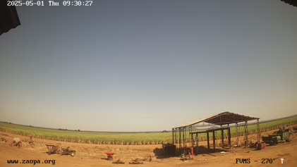 2025-05-01