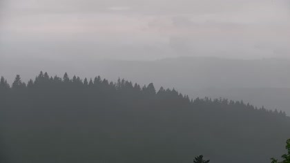 2026-06-03