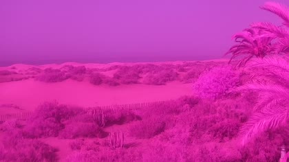 2026-07-07
