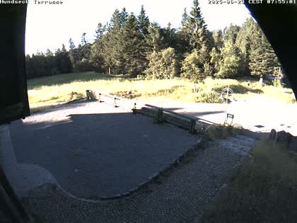2025-06-29
