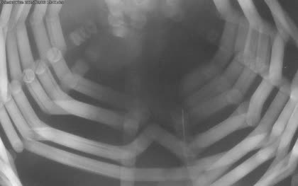2025-09-06