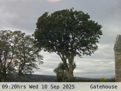2025-09-10