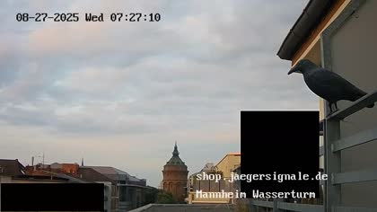 2025-08-27
