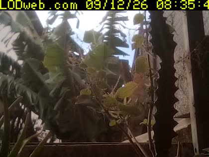 2026-09-12