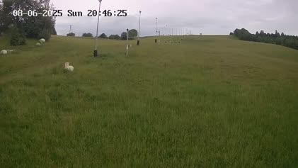 2025-06-08