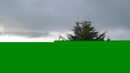2025-05-05