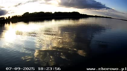 2025-09-07