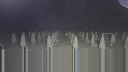 2025-08-01