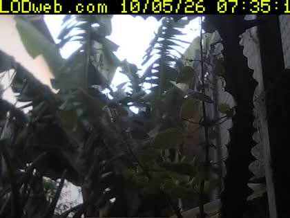 2026-10-05