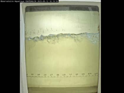 2025-09-12