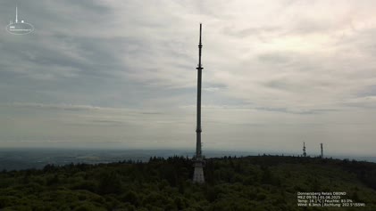 2025-06-01