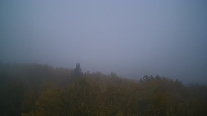 2025-10-12