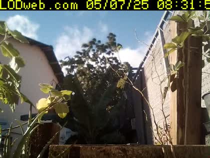 2025-05-07