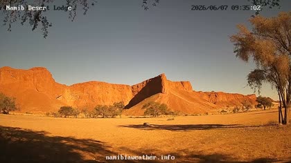 2026-06-07