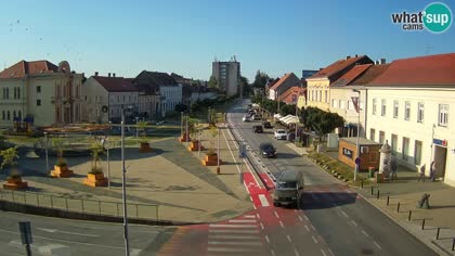 2026-08-13