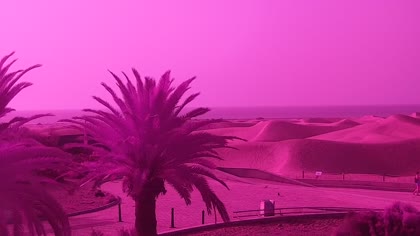 2025-08-10