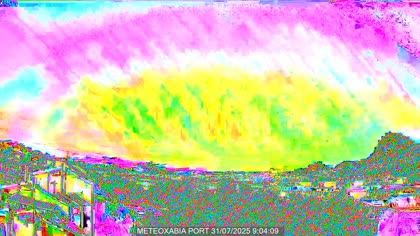 2025-07-31