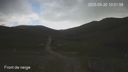 2025-05-20