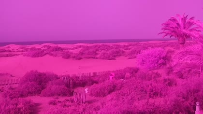 2025-07-15