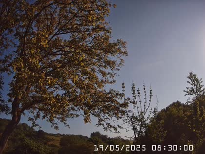 2025-05-19