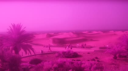 2026-07-21