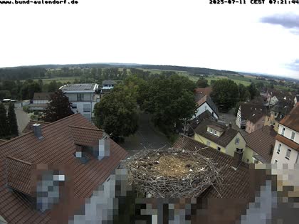 2025-07-11