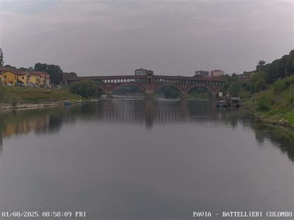 2025-08-01