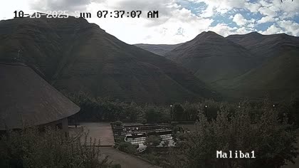2025-10-26