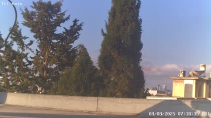 2025-08-08