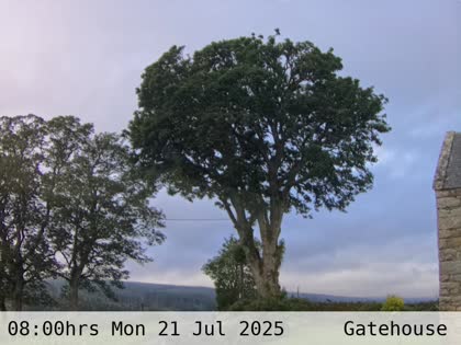 2025-07-21