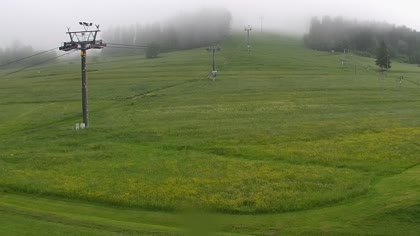 2026-06-10