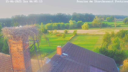 2025-06-15