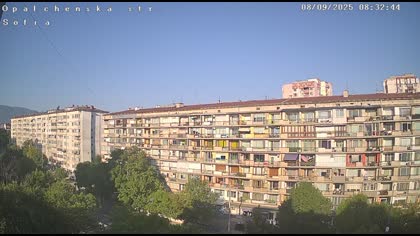 2025-08-09