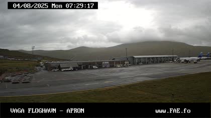 2025-08-04