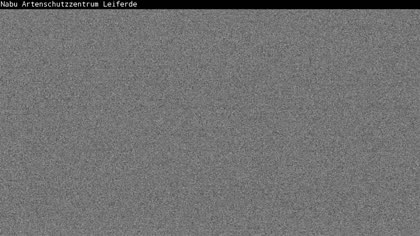2025-09-28