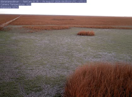 2026-08-07