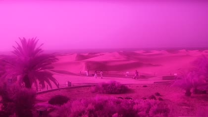 2026-07-23