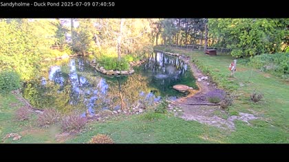 2025-07-09