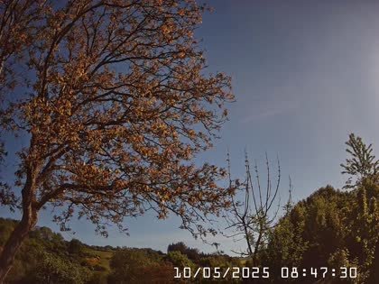 2025-05-10