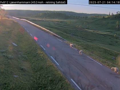2025-07-21