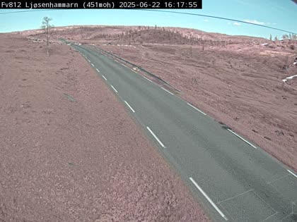 2025-06-22