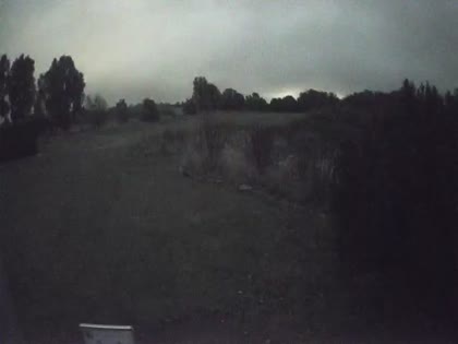 2025-10-06