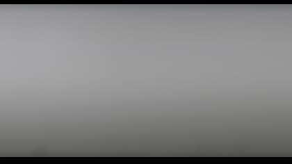 2025-07-29