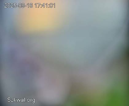 2025-09-16