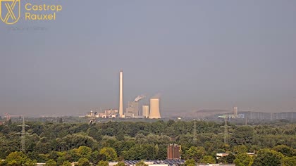 2025-08-12
