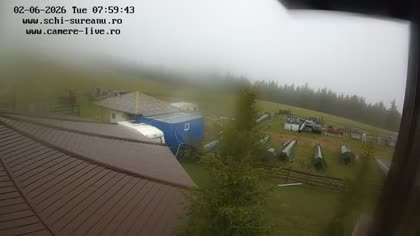 2026-06-02