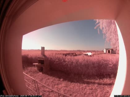 2025-08-11